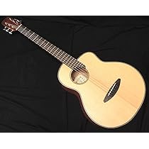 aNueNue Bird Guitar aNN-M10E エレアコ mt0140279_m.jpg